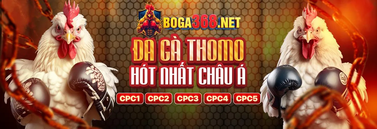 Hình ảnh minh họa chính sách cookie và công nghệ theo dõi